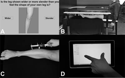 An Investigation of Lower Limb Representations Underlying Vision, Touch, and Proprioception in Body Integrity Identity Disorder